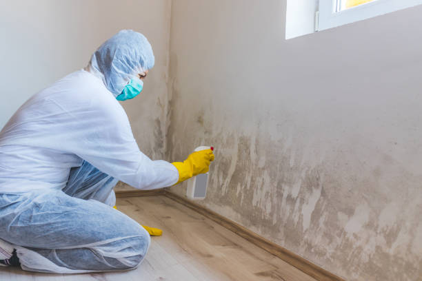 Crawl Space Mold Remediation treatment of floor joists in Lake Mary